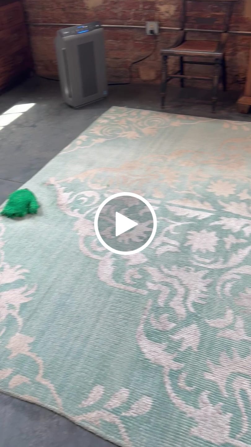 Customer video review of Green Mitt Kit