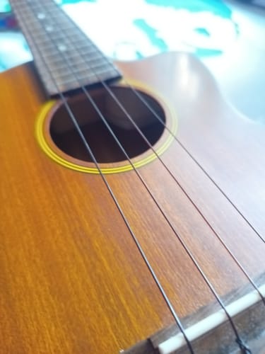 Customer photo review of BF-LG Worth Brown Fat Low-G Tenor Ukulele Strings Flurorcarbon 2 Restrings per Packet