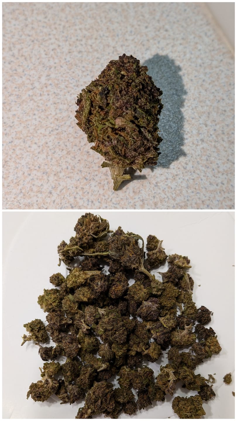 Customer photo review of Purple Jack - 28 Grams Littles - Hybrid