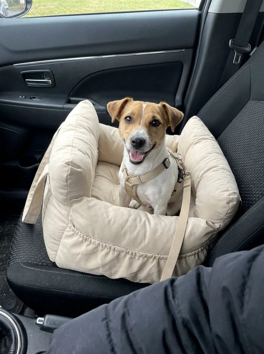 Customer photo review of Panier de transport chien voiture