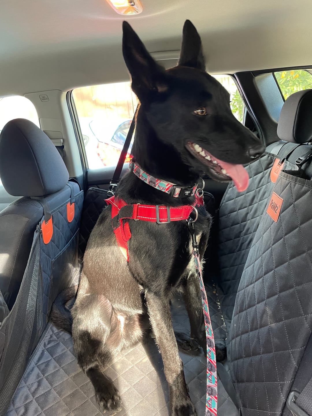 Customer photo review of Dog Car Seat Cover Pet Back Seat Hammock Safety Protector  Waterproof