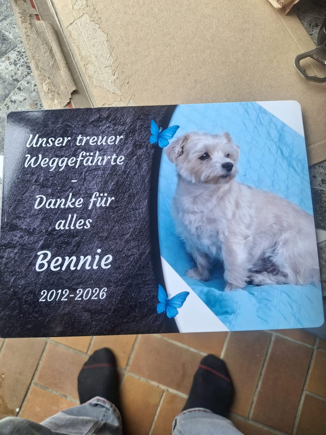 Customer photo review of Hunde Gedenktafel mit Foto & Spruch (UV- & Wetterfest)