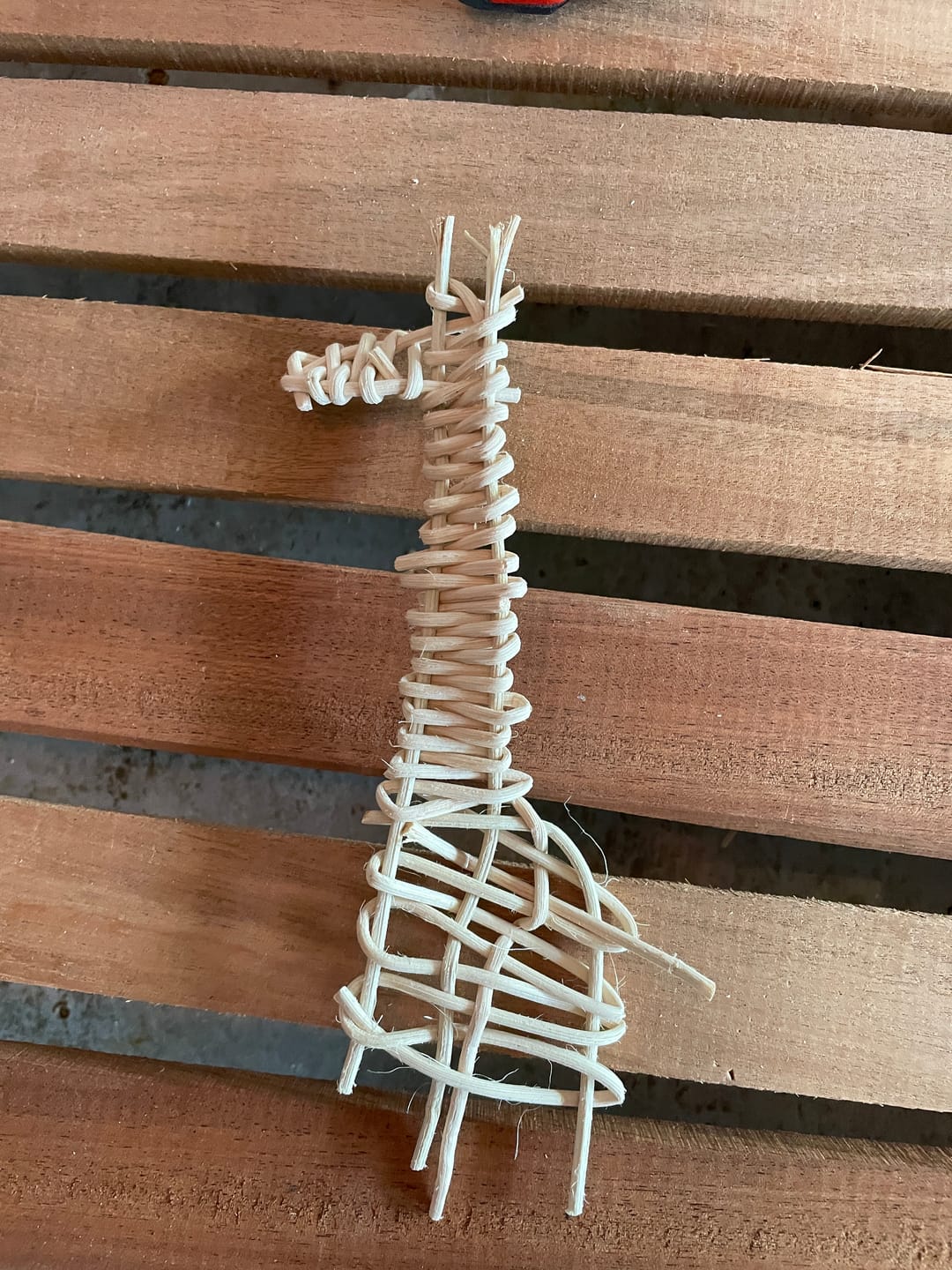 Customer photo review of The Willow Decorations Course and Kit