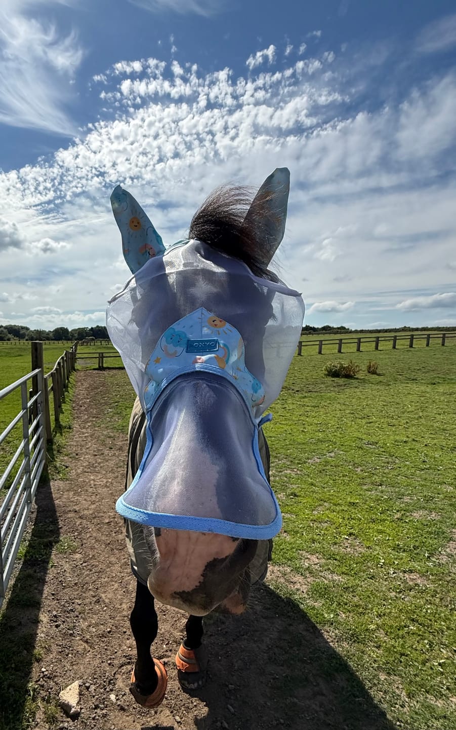Customer photo review of NEW Rain Or Shine Fly Mask