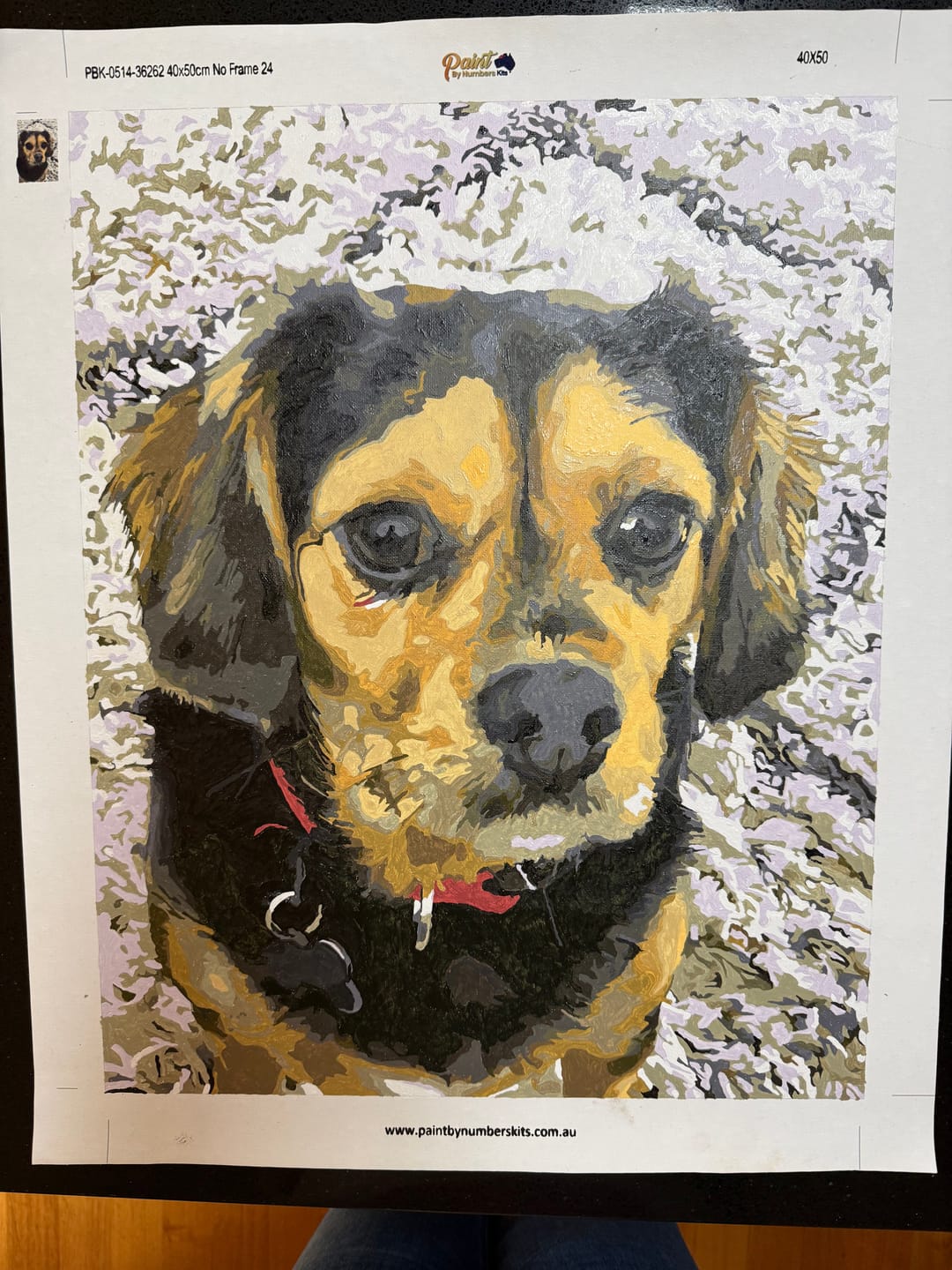 Customer photo review of Custom Paint By Numbers