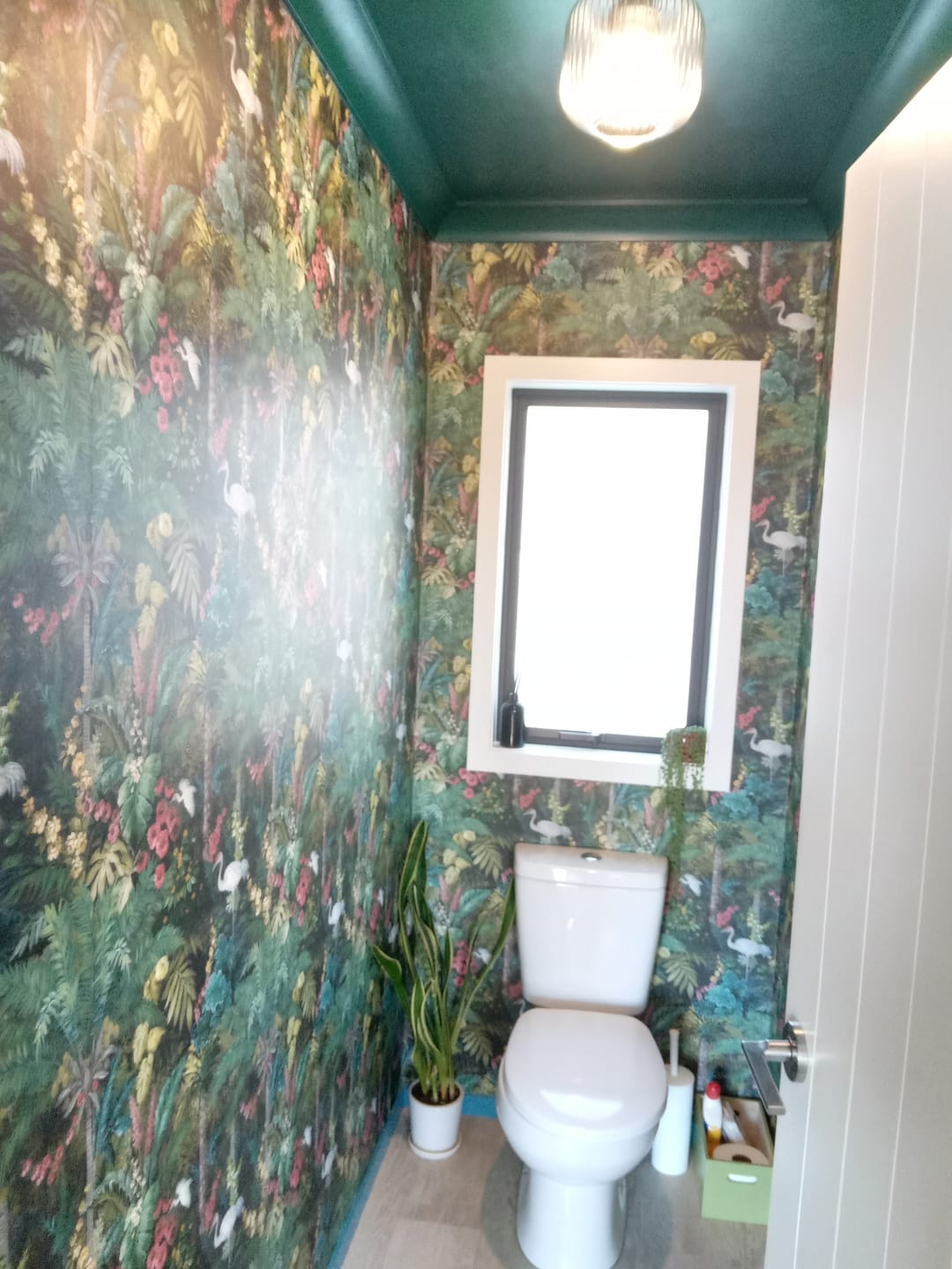 Customer photo review of Masoala Wallpaper - Black - Discontinuing