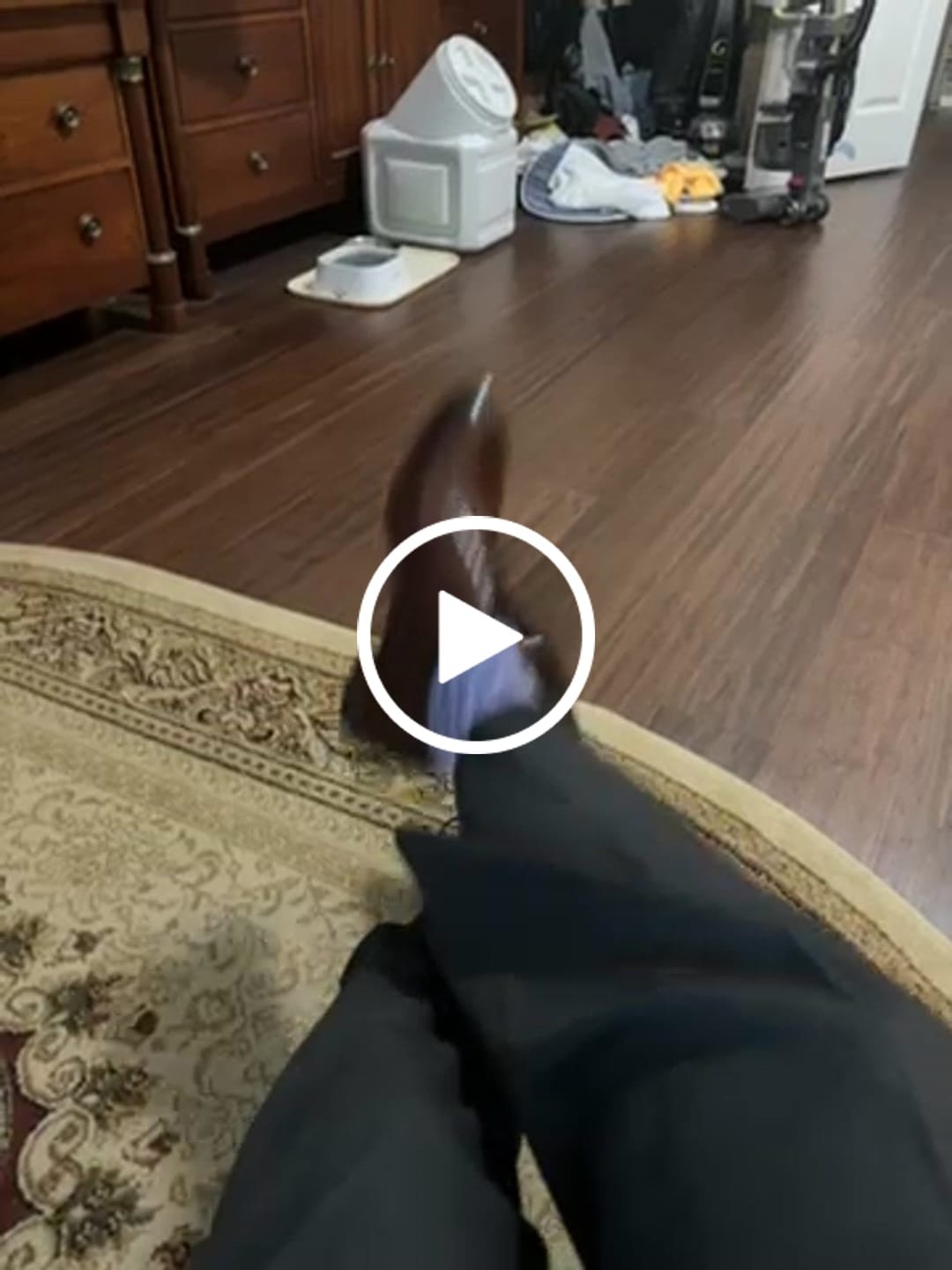 Customer video review of Violet Sprinkles - A Violet Sock with a Contrasting Sprinkle Pattern