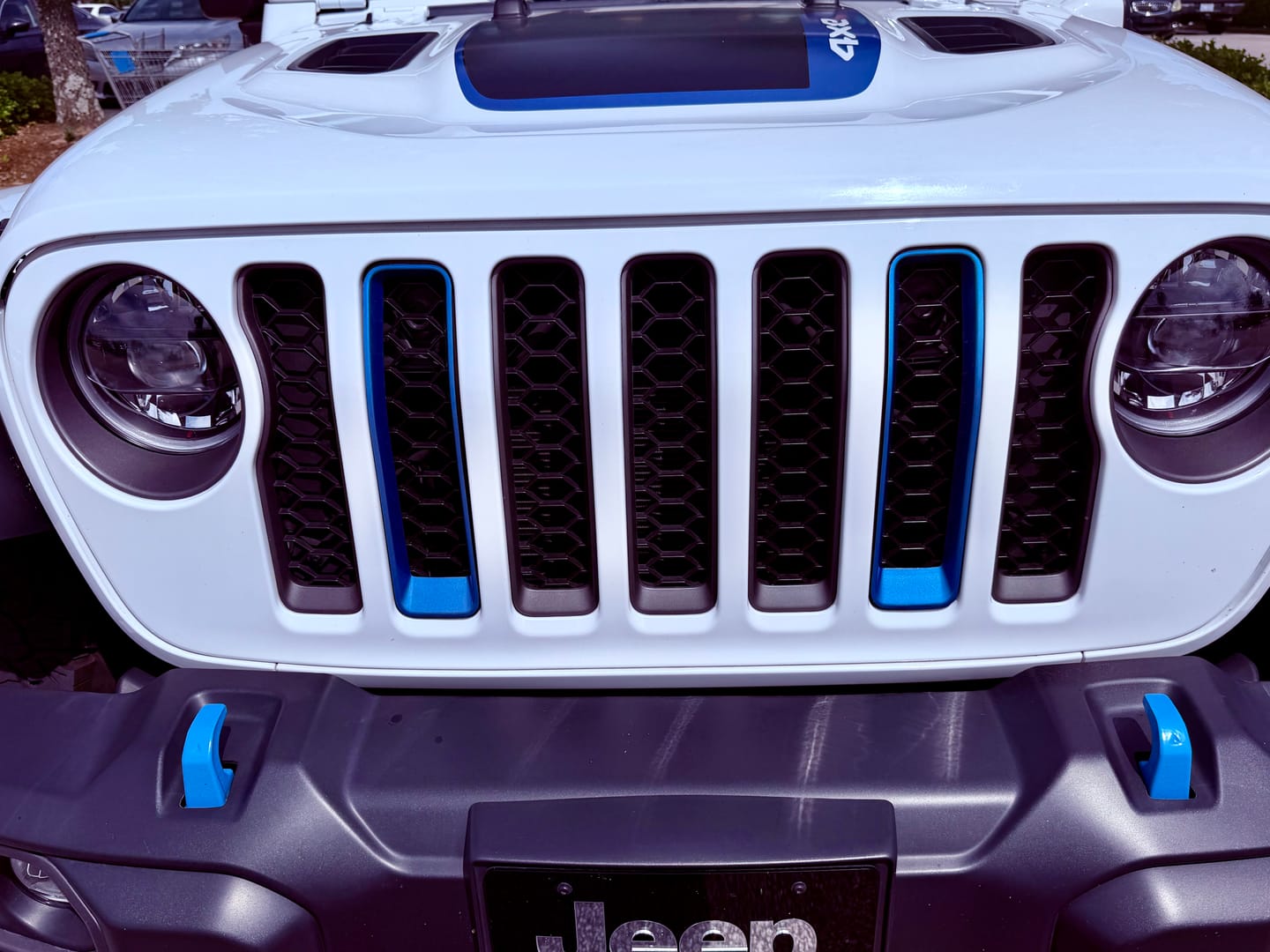 Customer photo review of Grille Inserts Color Matched fits 18-23 Wrangler JL Gladiator JT *Discontinued