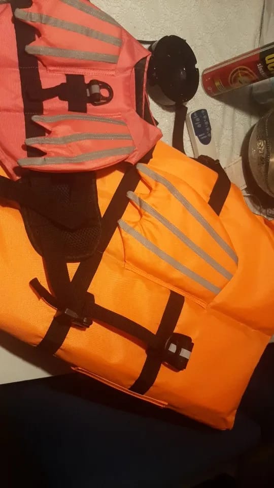 Customer photo review of AquaPawz™ Dog Life Jacket