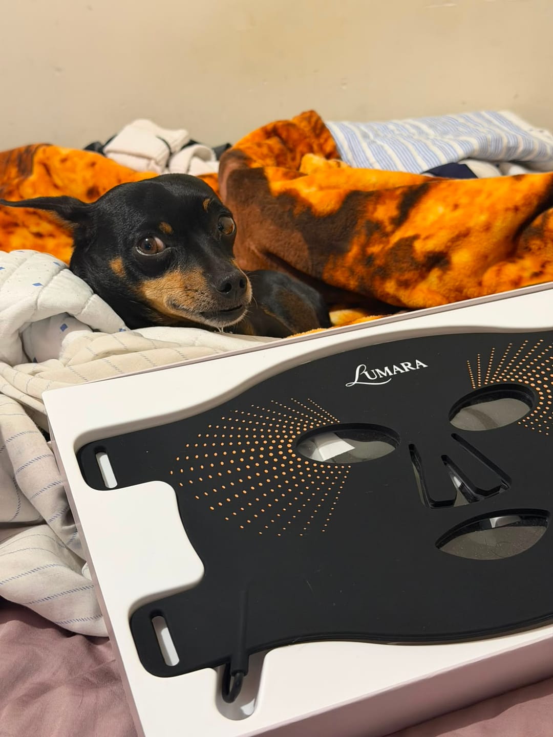 Customer photo review of Lumara Máscara LED