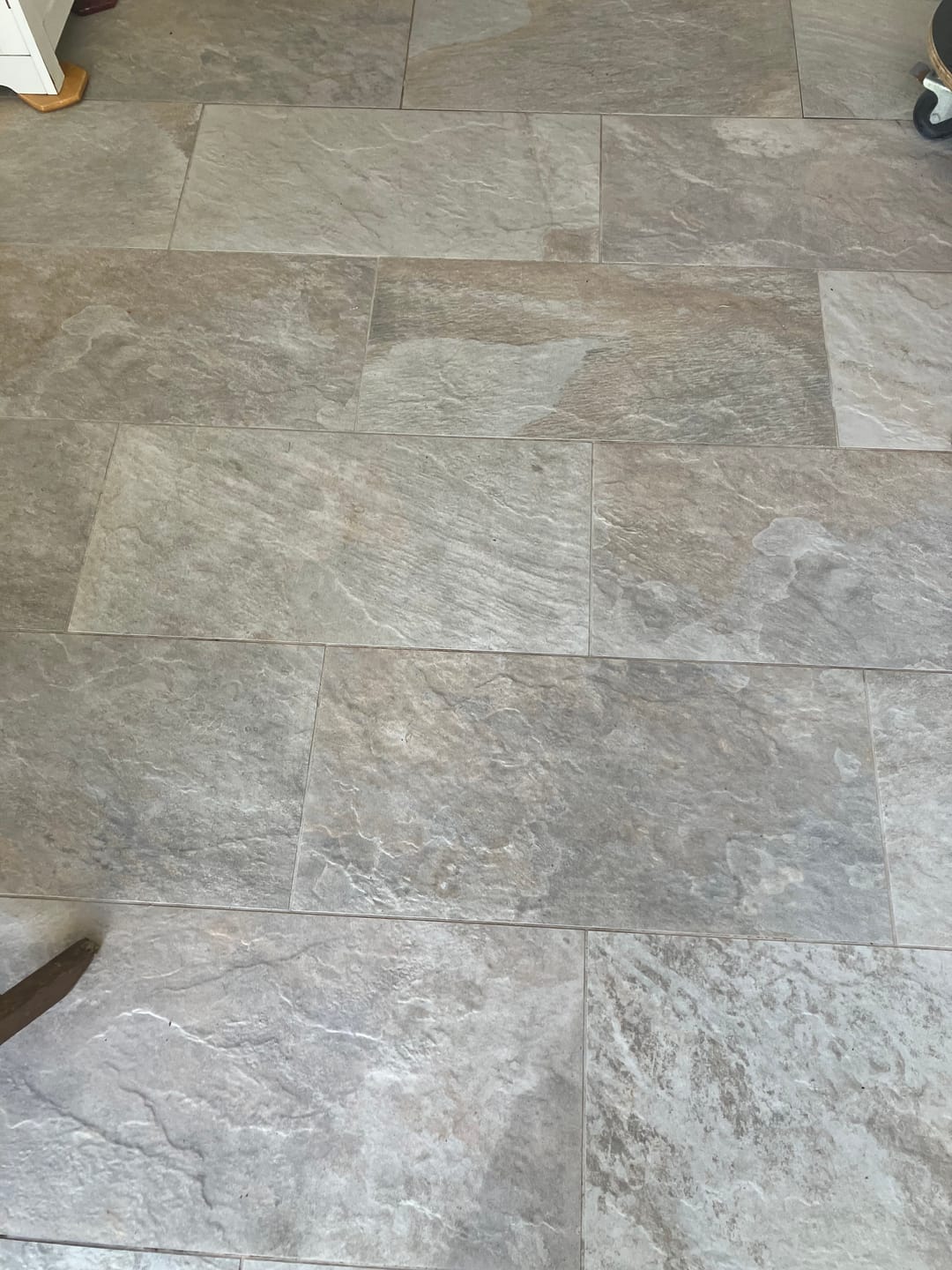 Customer photo review of 18V Twin Brush Cordless Brushless Power Scrubber