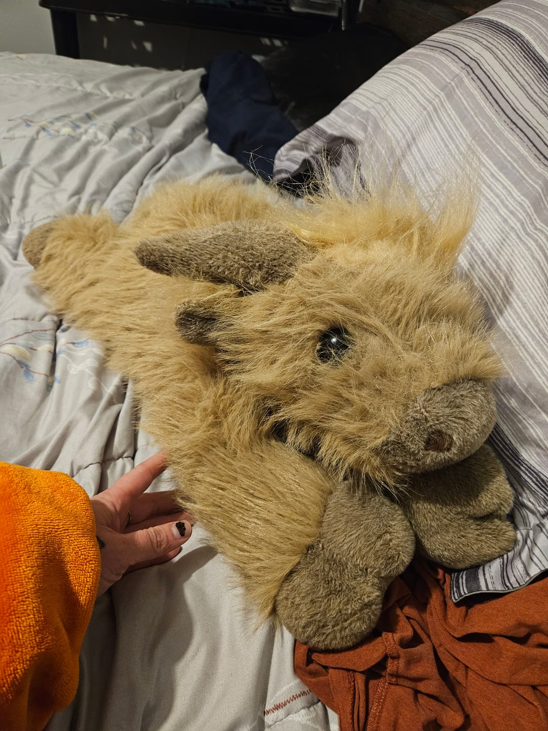 Customer photo review of Highland Cow Weighted Stuffed Animal