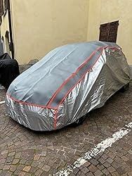 Customer photo review of CAR PROTECTOR