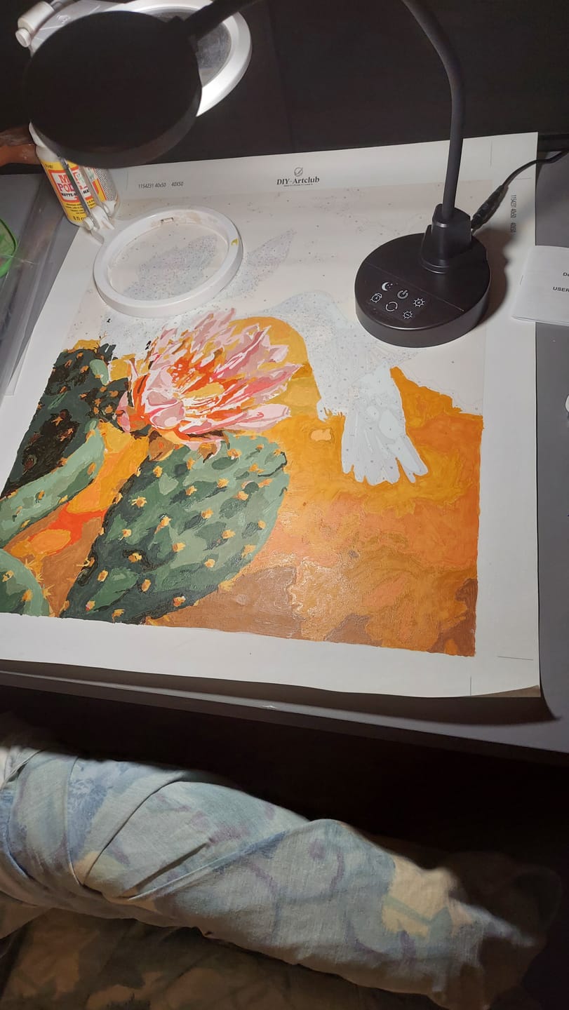 Customer photo review of Mexican Nature | Paint by Number