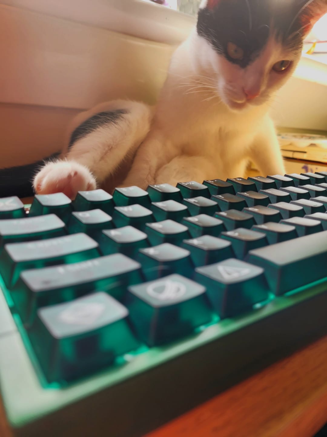Customer photo review of X60Future Magnetic Switch Keyboard - Your Greatest Gaming Weapon