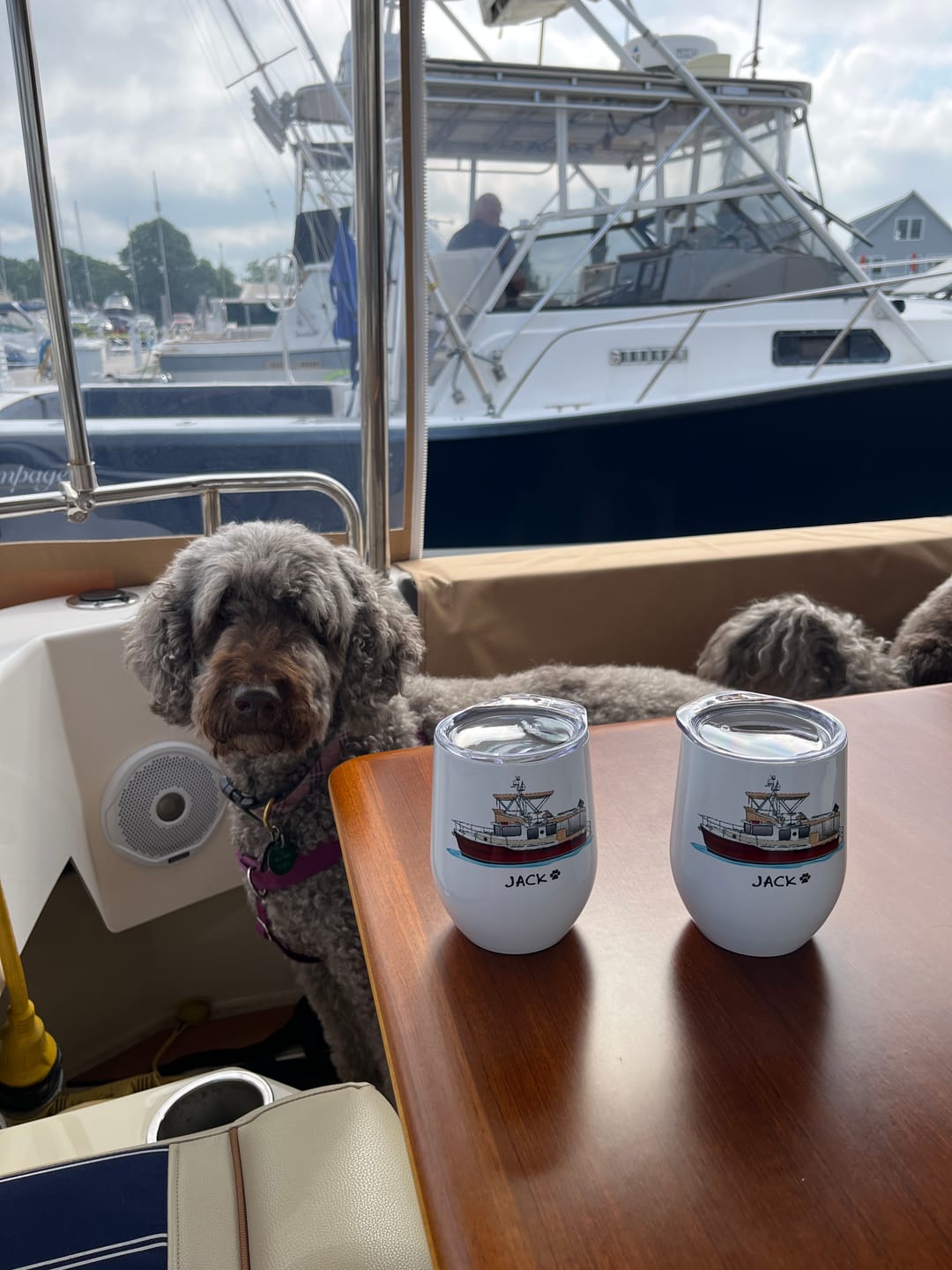 Customer photo review of Custom Wine Tumblers