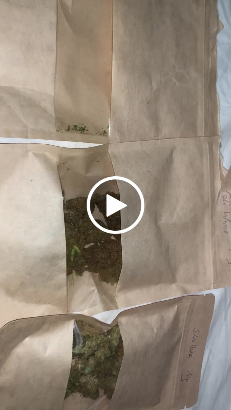 Customer video review of 9H-HHC Blüten Signature Bundle – 5 Sorten, 25g | Best of 9H-HHC