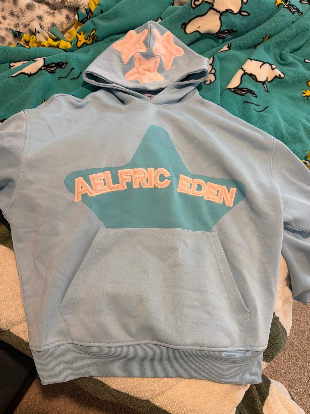 Customer photo review of Aelfric Eden Vintage Embroidery Eden Star V303 Hoodie