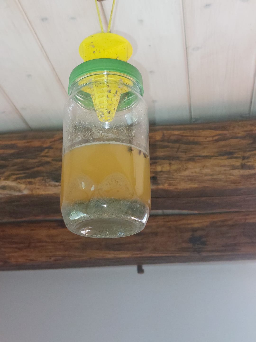 Customer photo review of HorseSafe LiquidTrap – Schluss mit Fliegenstress auf deinem Hof
