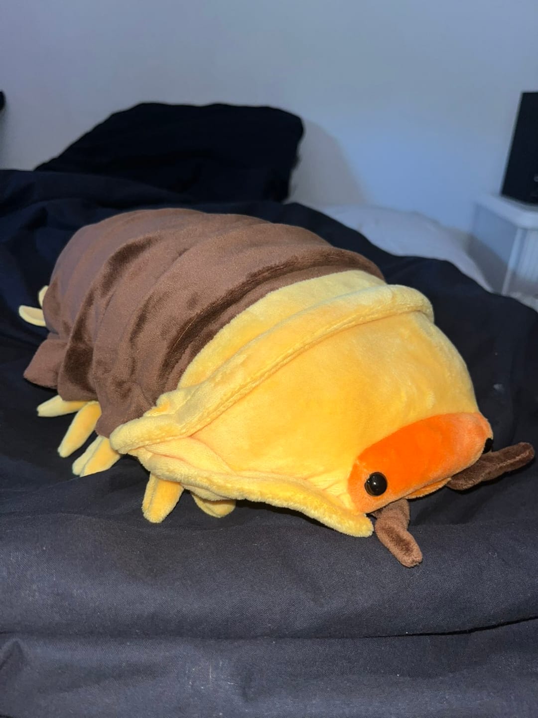 Customer photo review of Rubber Ducky Isopod Soft Stuffed Plush Toy