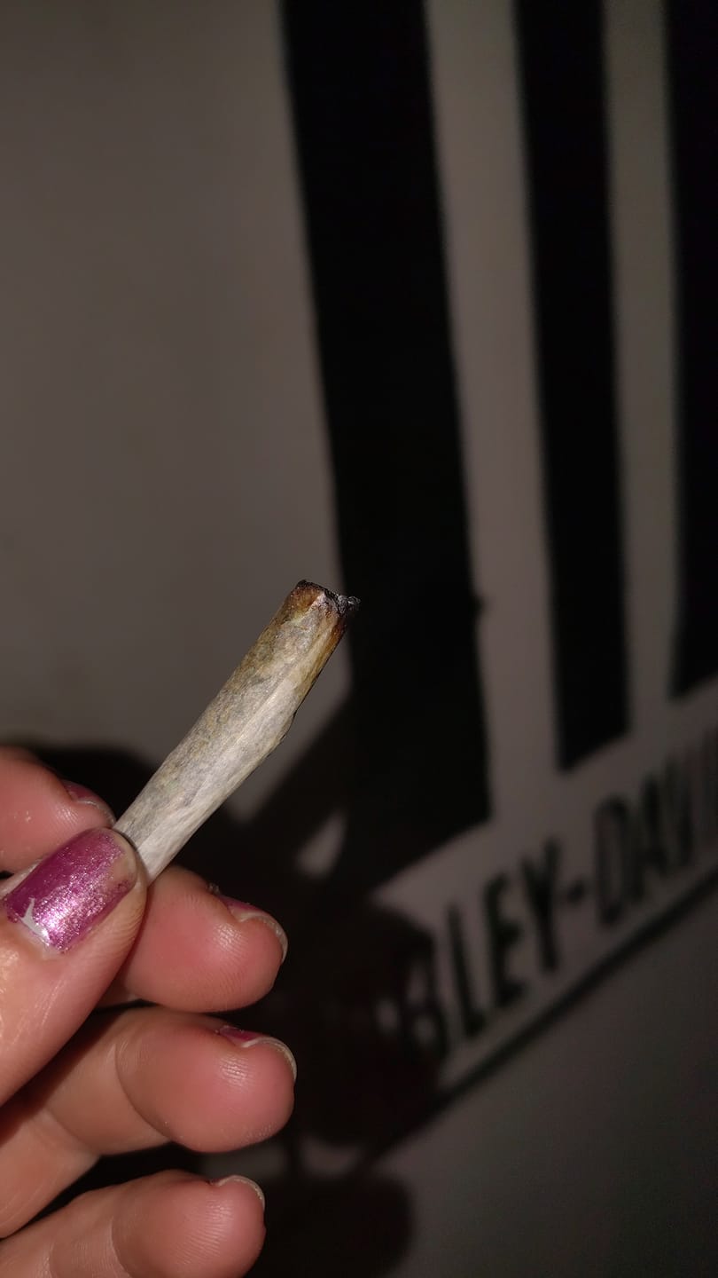 Customer photo review of (BOGO Shake: buy 1oz get 2oz🍃) No4. Purple Cream THCa Shake