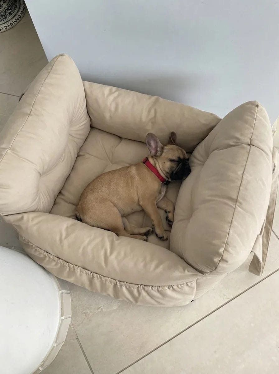 Customer photo review of Panier de transport chien voiture
