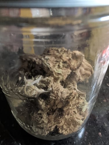 Chocolate Diesel - 28 Grams - Hybrid photo review