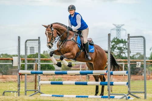 Reviewer, an equestrian, on a brown horse jumping over a hurdle, illustrating the active lifestyle mentioned in their review.