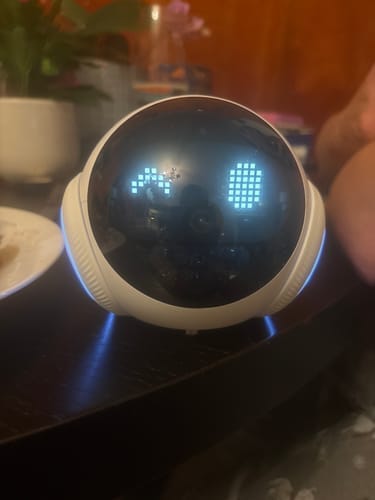 Customer photo review of Blinky Bot™ Echo