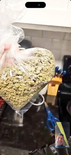 Customer holding a large clear bag filled with Apple Banana Littles buds in a kitchen.