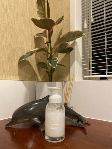 Customer photo review of Dazz Foaming Hand Soap Bundle