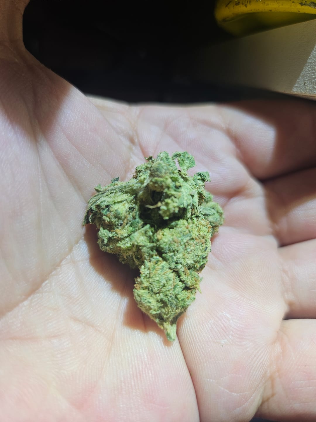 Customer photo review of OG Kush - 14 Grams - Indica