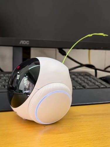 Customer photo review of Blinky Bot™ Echo