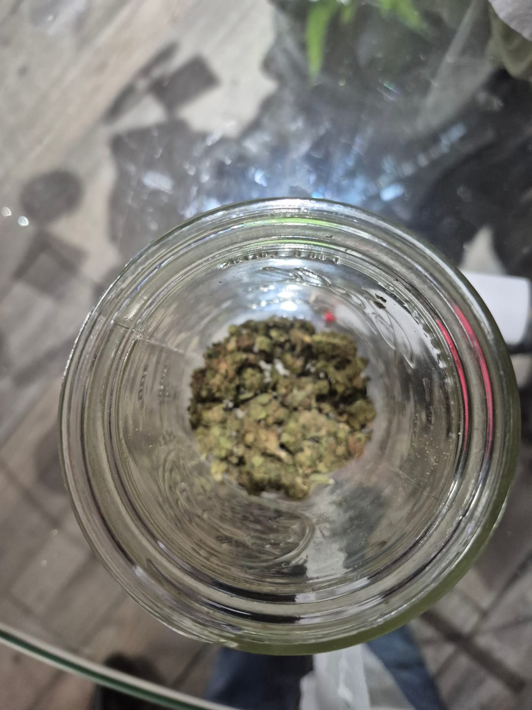 Customer photo review of Blue Dream - Minis - 28 Grams - Sativa