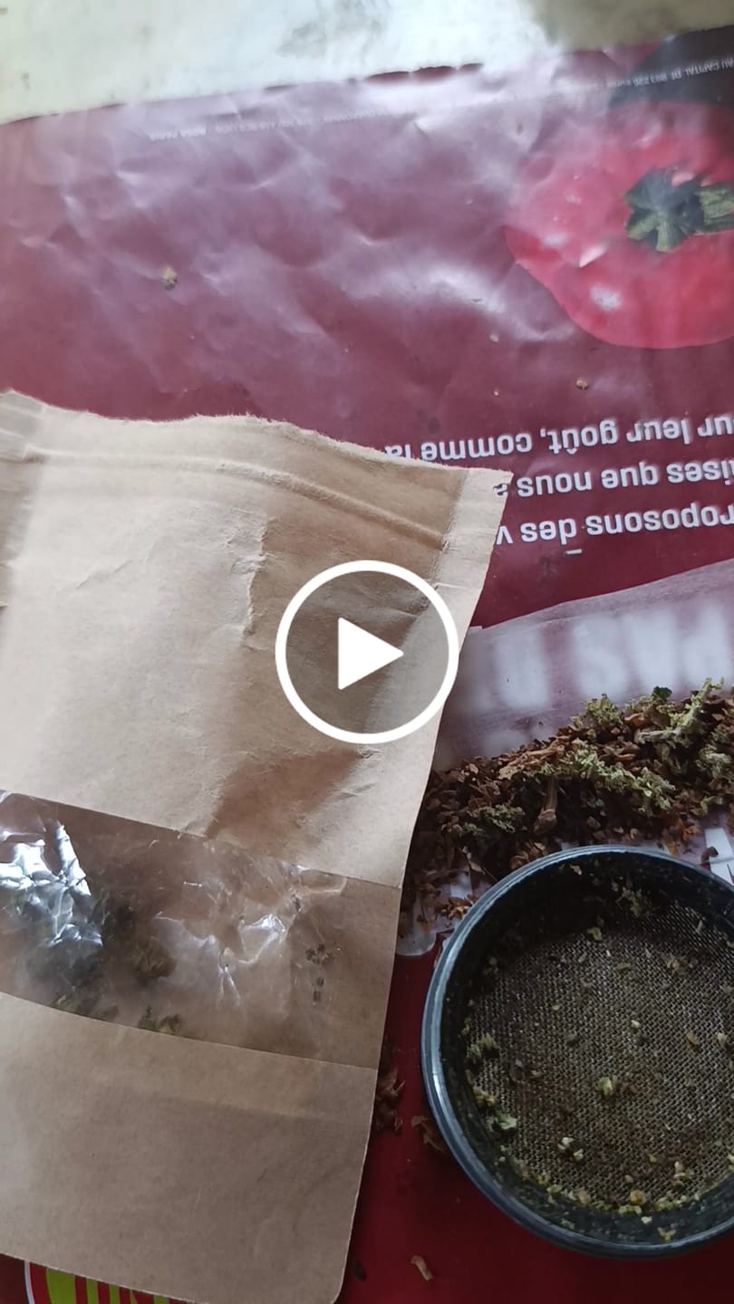 Customer video review of Blüten Probier-Trio 15g – Pineapple Express, Lemon Haze & Crystal Skunk