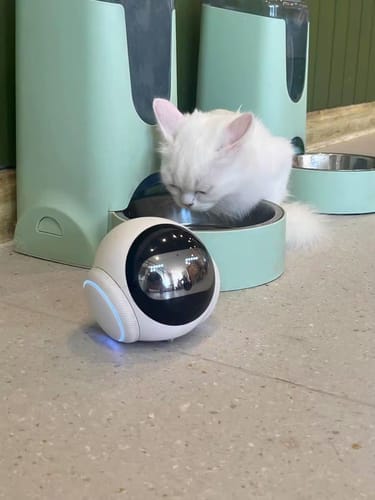 Customer photo review of Blinky Bot™ Echo