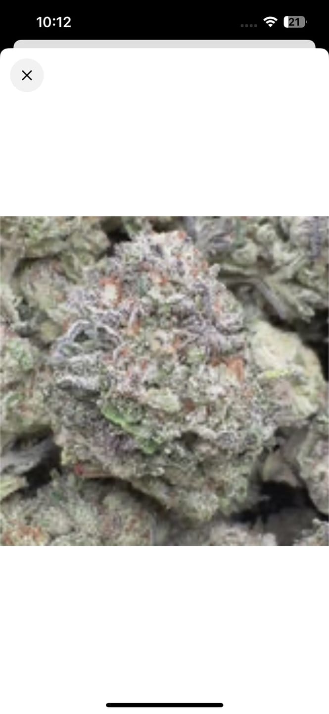 Customer photo review of Truffle Indoor - Bulk - Indica