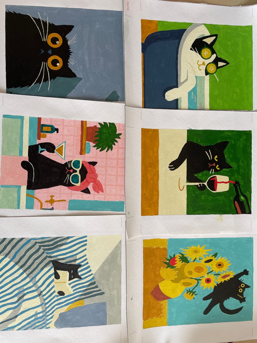 Customer photo review of 6 Mini Paintings - Crazy Cat Set