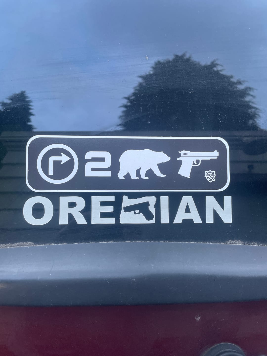 Customer photo review of Right 2 Bear Arms Decal