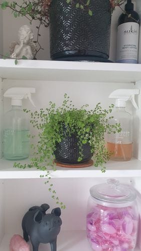 Customer photo review of Dazz Bathroom Cleaner [Refill Tablets]