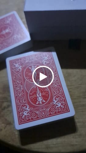 Customer video review of [Farewell Sale] PITATA LevitiDeck