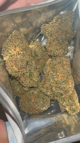 Customer photo review of Papaya Dream THCA Flower