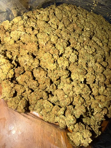 Durban Poison - Bulk - Sativa photo review
