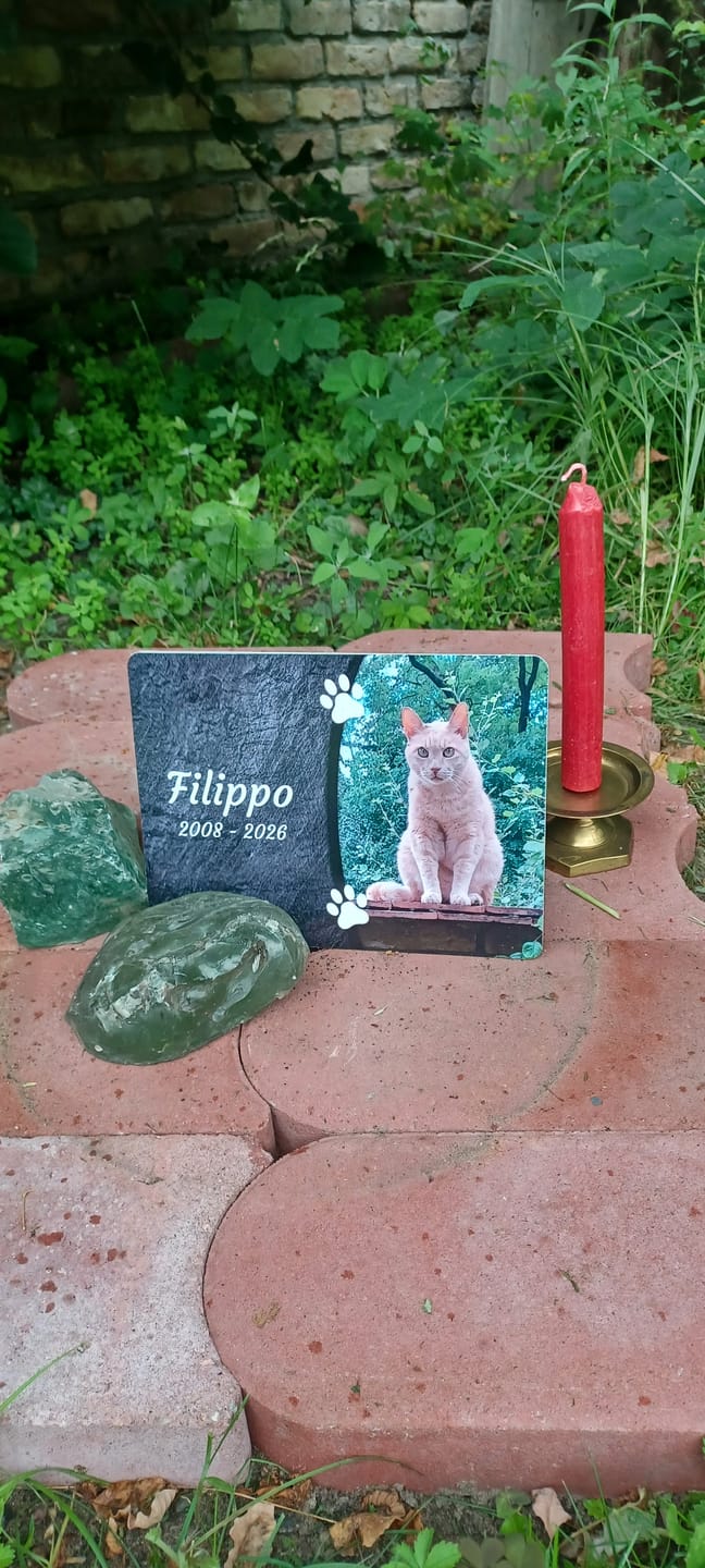 Customer photo review of Katzen Gedenktafel mit Foto & Spruch (UV- & Wetterfest)