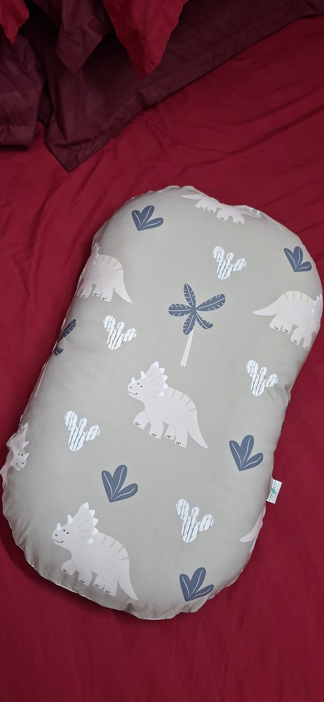 Customer photo review of Infant Lounger's External Cover