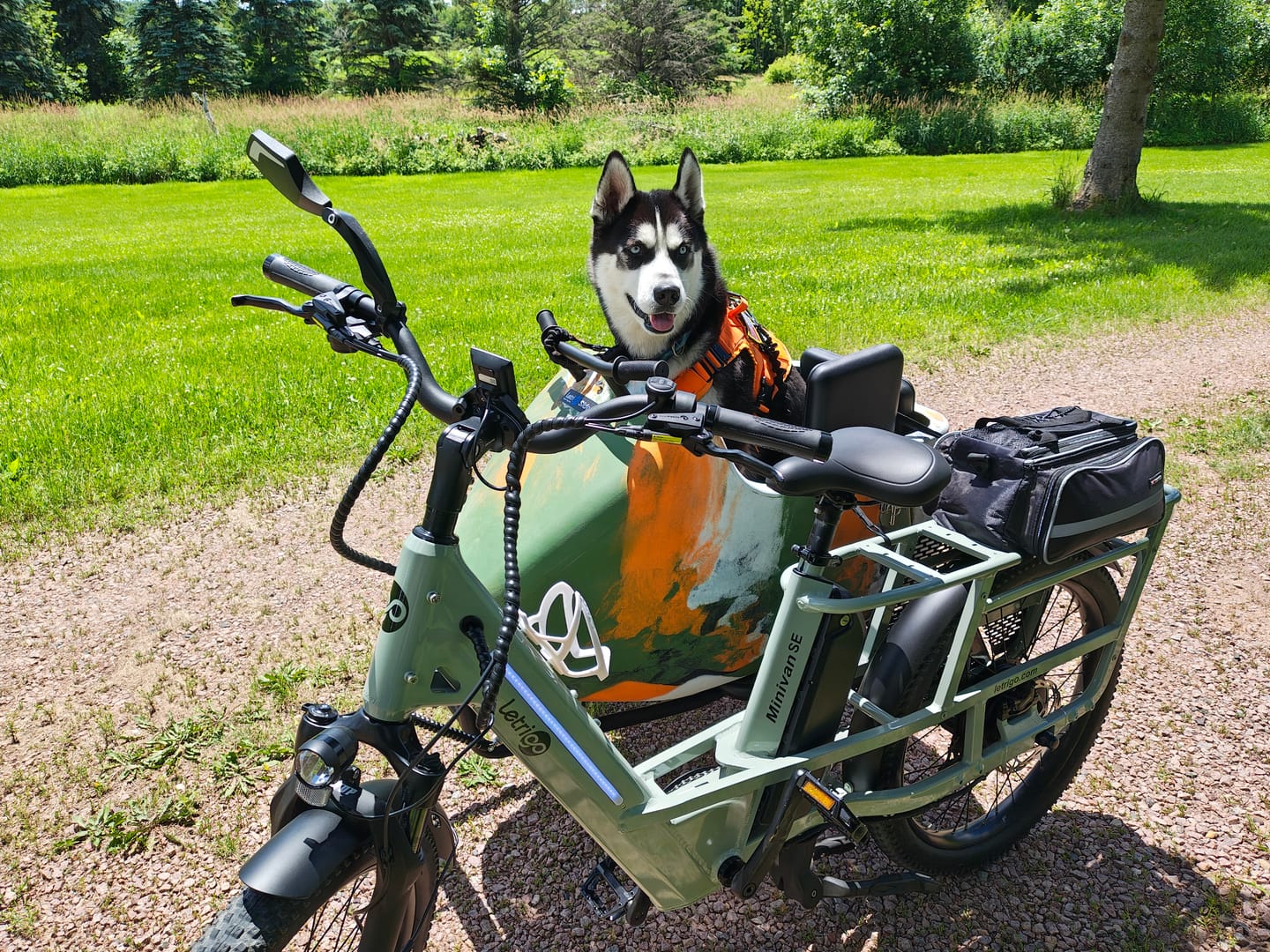 Customer photo review of Letrigo Sidecar01