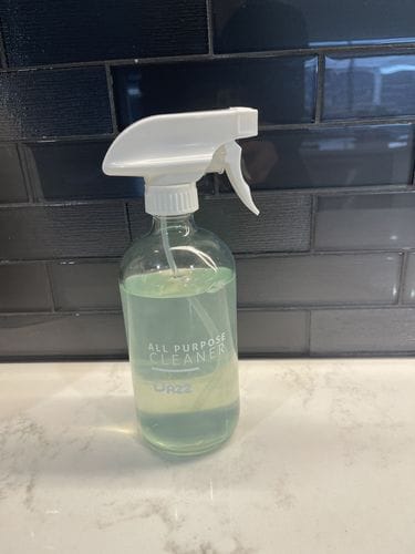 Customer photo review of Dazz Eco Home Cleaning Kit