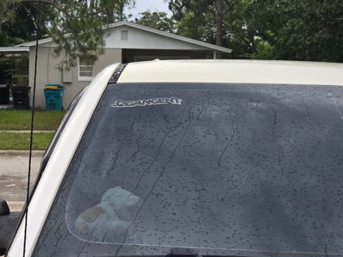 Customer photo review of WAVY DECAL