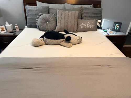 Customer photo review of Shipping Protection