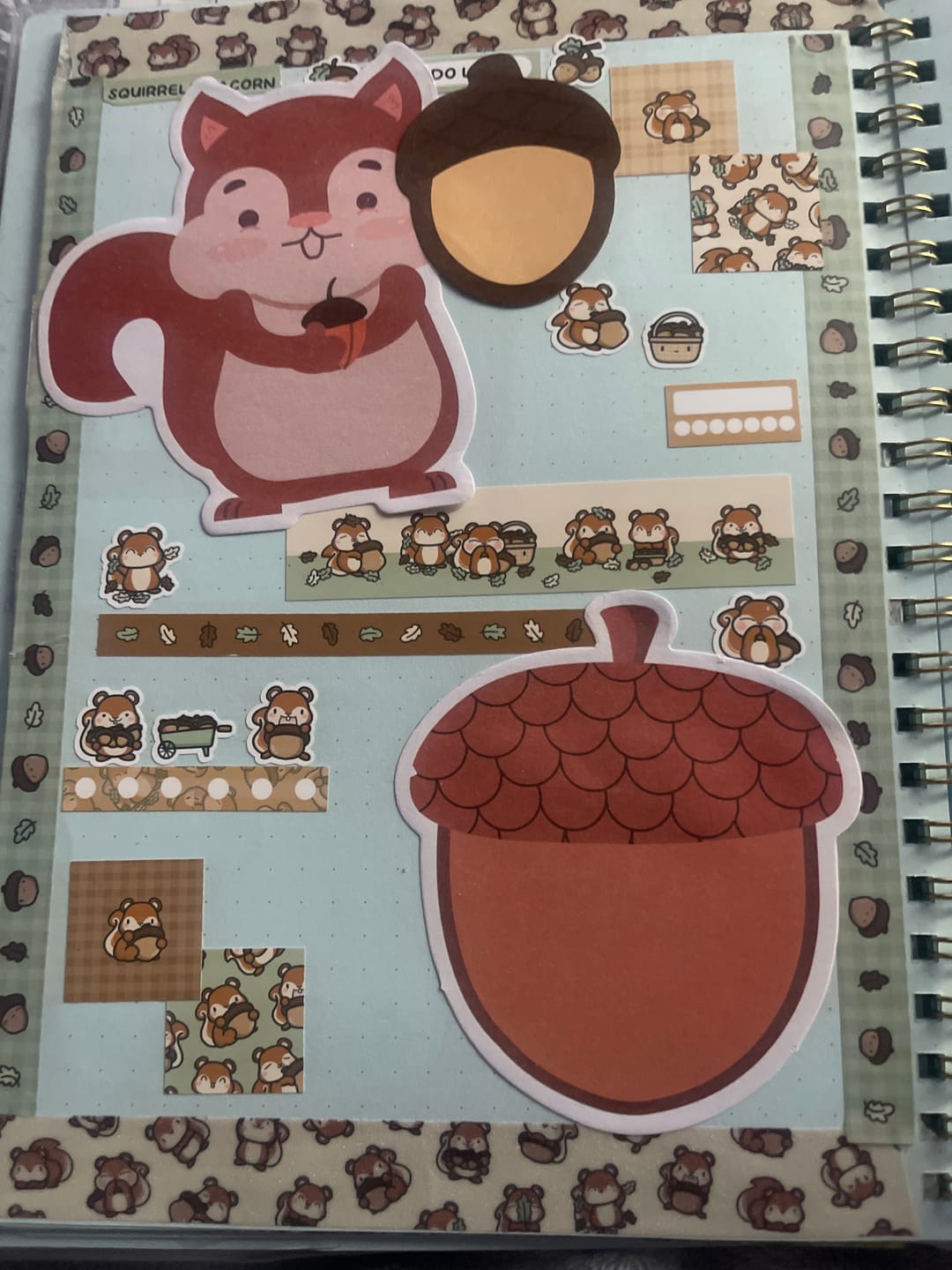 Customer photo review of Squirrelly Acorn Washi Tapes (Set of 2)